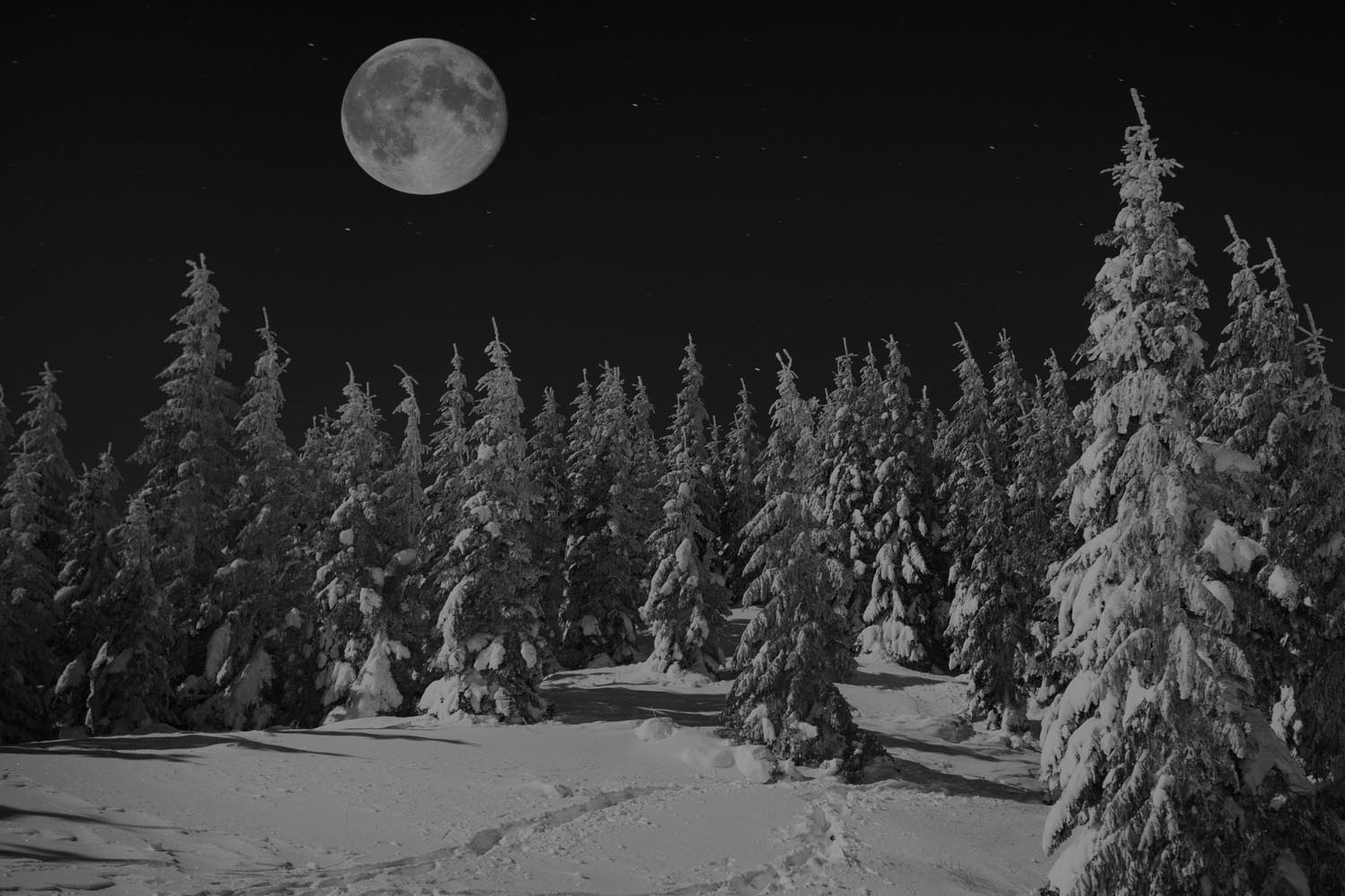 Your Friend The Moon V3