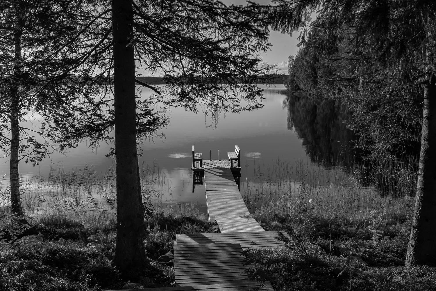 House at The Lake