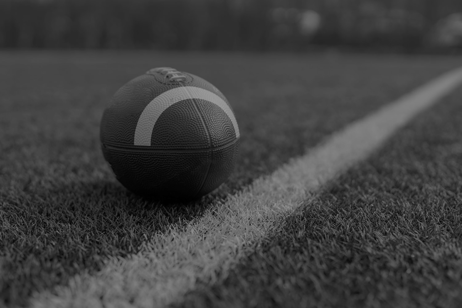 The Sideline