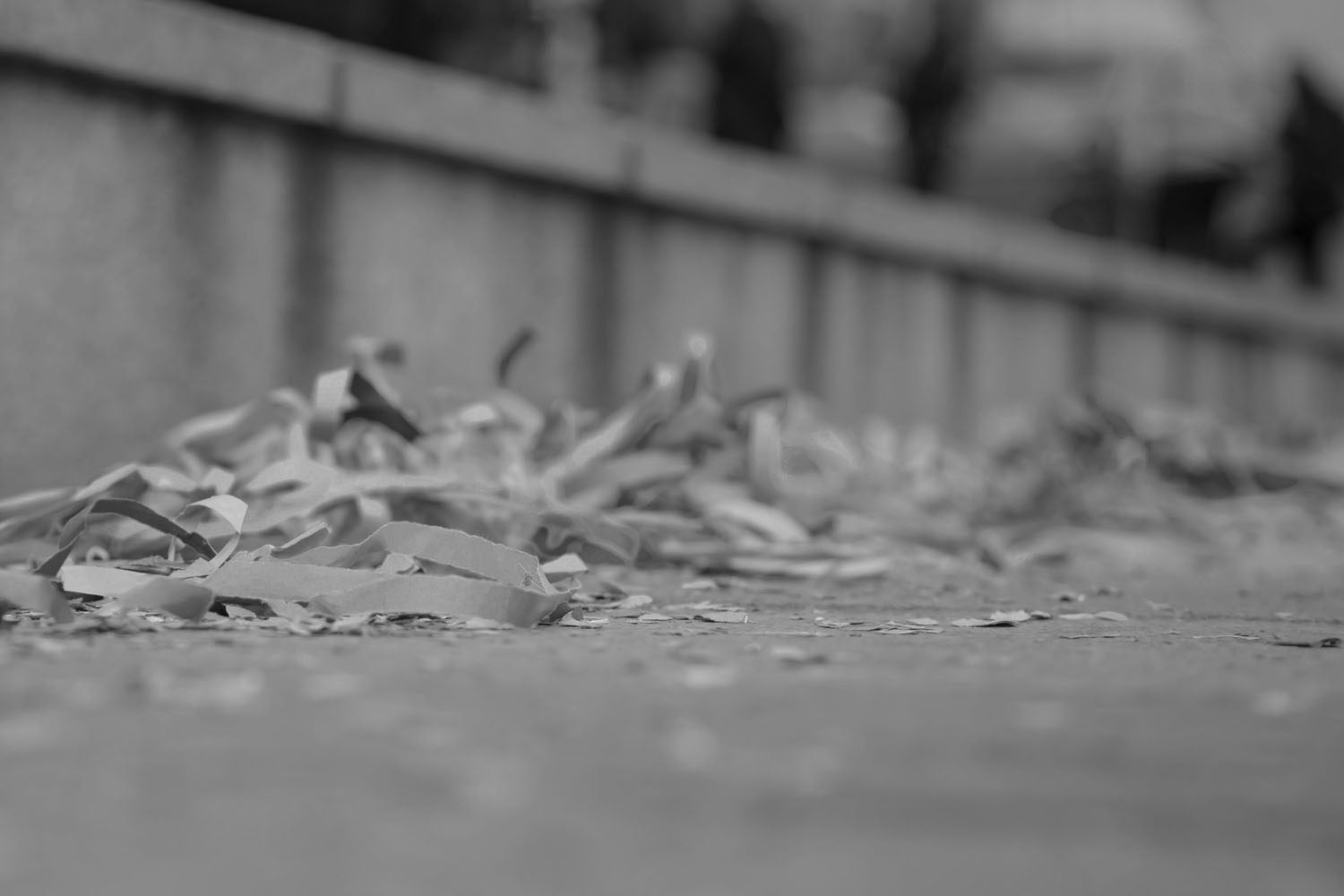 The Empty Parade