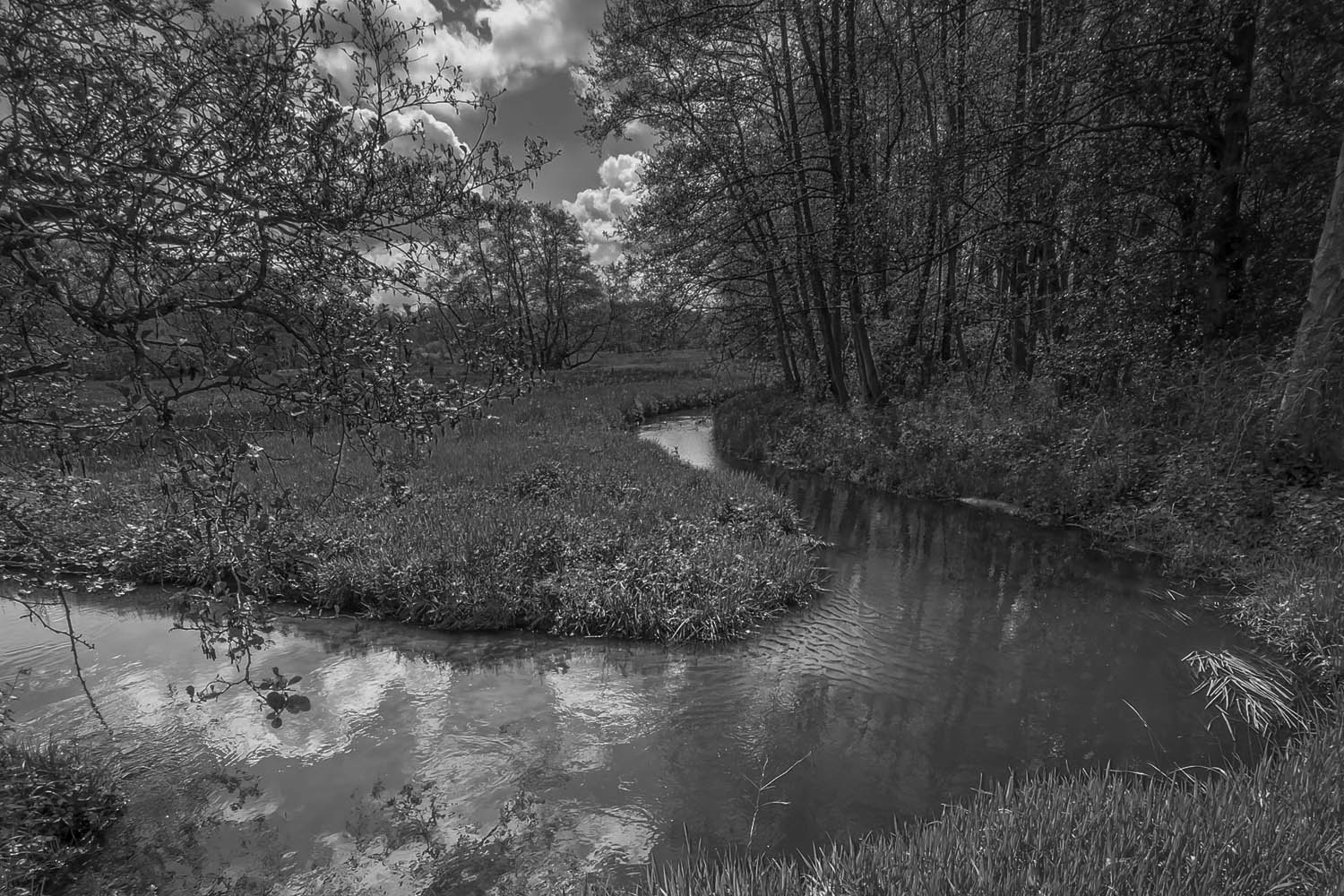 The Couch By The Creek